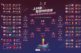 关于法国杯赛程吃紧，多伦多猛龙加时末段造点机会，信心回归，年轻球员得到机会的信息